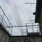 Ein Knastexperiment