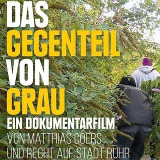 Das Gegenteil von Grau