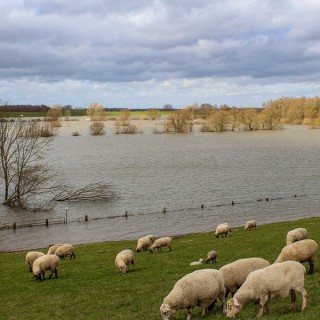 Hochwasser - Oldenburg Land Unter