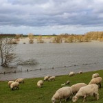 Hochwasser - Oldenburg Land Unter