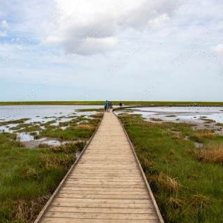 Langwarder Groden
