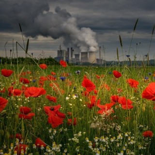 Thesen für die Umwelt